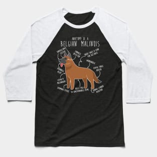 Red Mahogany Belgian Malinois Dog Anatomy Baseball T-Shirt